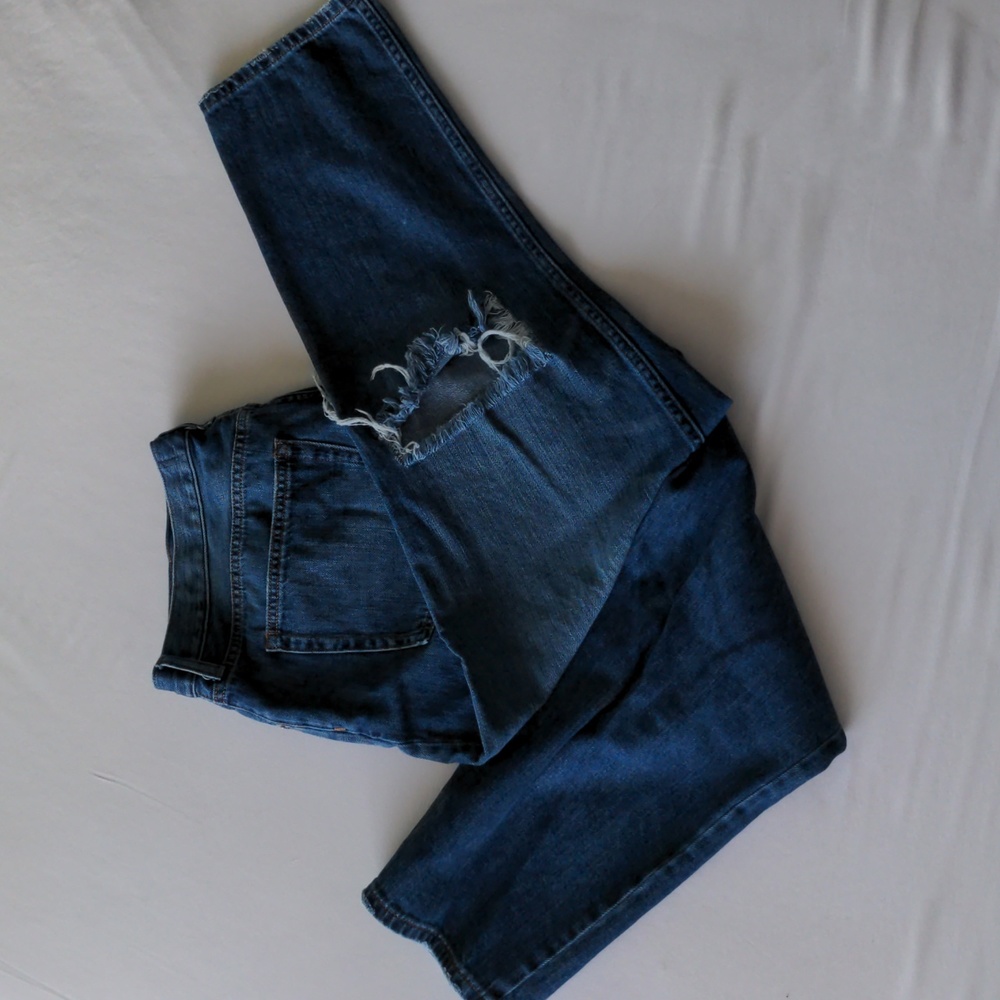Everlane Super Soft Relaxed Jean in Distressed Indigo